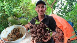 Đại Tiệc Dừa Nước, Bần Chấm Mắm Cá Linh