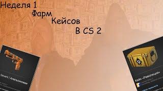Фарм кейсов в CS 2 / Неделя 1 / 2 Аккаунта
