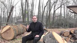 Fr. Michael Sliney, LC: 2nd Sunday Advent 2010