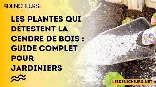 Les plantes qui détestent la cendre de bois : Guide complet pour jardiniers