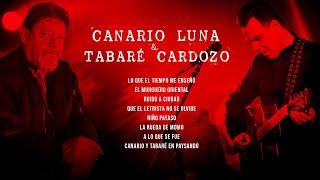 Canario Luna y Tabaré Cardozo - Grandes Canciones