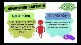 Різноманіття прокаріотичних організмів. Значення прокаріотів у природі