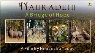 Nauradehi : A Bridge of Hope | Nauradehi Wildlife Sanctuary | Official Documentary | Know everything