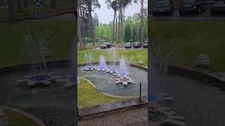 Посвещается Максим Максимычу #жизнь #стихи #мир #природа