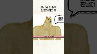 근대사 시리즈 2편ㅣ향신료 한 줌으로 내 집 마련!