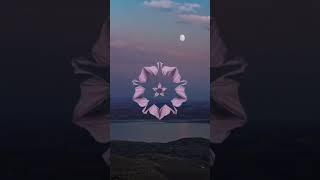 Blue Hour Podcast is back with 10 incredibly insightful visionary artists and creators from France,