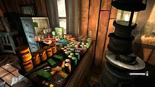 THE LONG DARK: Mystery Lake- base