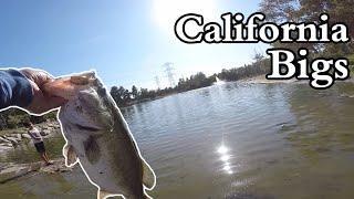 Bass Fishing In Southern California