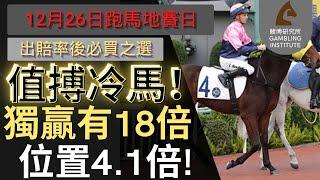 【賽馬貼士】12月29日 值搏冷馬！｜獨贏有18倍 位置都有4.1倍！值得一搏！