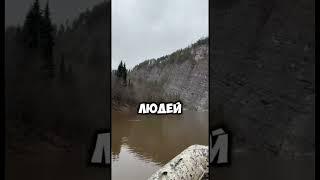 Мудрость жизни | Цитаты #мудрость #цитатыпрожизнь #успех #мысли #жизнь #motivation
