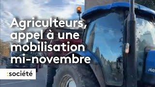 Agriculteurs, appel à une mobilisation mi-novembre