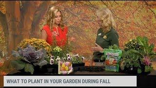 Fall Gardening Tips