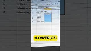 Lower Case Formula Use in Excel | How to Change Uppercase Letter to Lowercase in Excel  #msexcelwire