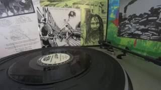 Misty In Roots "Own Them Control Them / Version 1" single on vinyl record turntable reggae dub mix