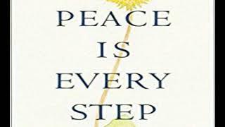 PEACE IS EVERY STEP: The Path of Mindfulness in Everyday Life  --  Thich Nhat Hanh.