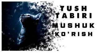 Tushda Mushuk Ko'rish Tabiri