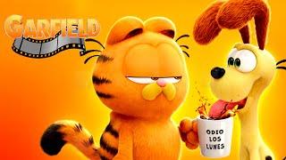 GARFIELD PELICULA COMPLETA EN ESPAÑOL DEL JUEGO - ROKIPOKI - VIDEO GAME MOVIES