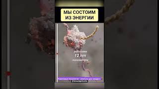 Квантовые миры доступны каждому. #energy #universe #вибрации #spirituality #5d