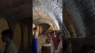 Путешествие в Мир Виноделия: Туры на винодельню монастыря Тврдош!Journey to the World of Winemaking