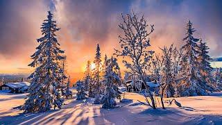 You Can Listen To This Music Forever! A Beautiful Melody To Tears! Magical Winter Tunes! Music 2022