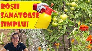 Ways to Prevent Tomato Disease in Your Garden 