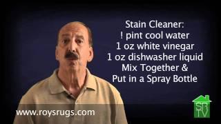 Social Realty TV - Clean Up Carpet Stains with Roy Maloumian