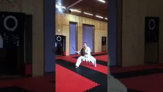 Kanegawa no Tinbe (turtle  shield) / Muge nunchaku 琉球 古 武 道 Ryukyu kobudo /  Akamine no nunchaku