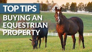 Our Best Tips for Buying and Equestrian Property in France