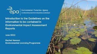 Webinar -  Guidelines on the Information to be contained in Environmental Impact Assessment Reports