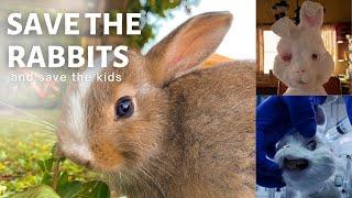 SAVE THE RABBITS   |   Satorre Series