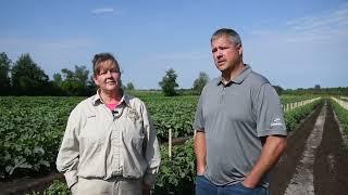 Meet Jamie Ostrowski and Matt Jansen
