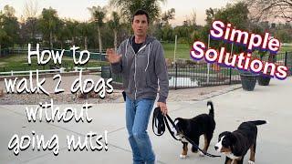 How to successfully walk more than one dog