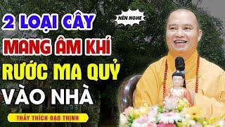 2 Loại Cây Đừng Dại Mà Trồng Quanh Nhà Kẻo Hối Hận Không Kịp - Thầy Thích Đạo Thịnh.