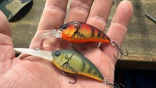 THE Biggest Mistake Anglers Make When Using Crawdad Colored Crankbaits…