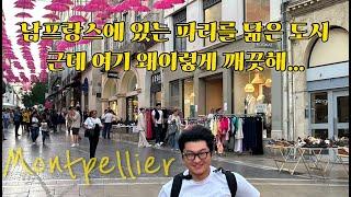 남프랑스 몽펠리에(Montpellier) - 프랑스 기차여행/젊음의 도시/남프랑스 게스트하우스 1박2일