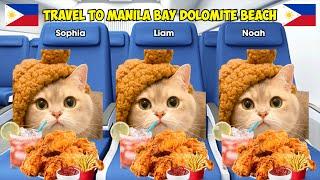 Cat Memes Beach Road Trip Manila