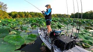 Punching For Bass With Snell Knot Setup in the Lotus Pads of Cowan Lake