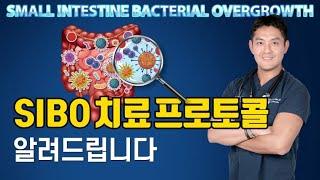 SIBO 소장세균과증식 치료 기능의학적 접근