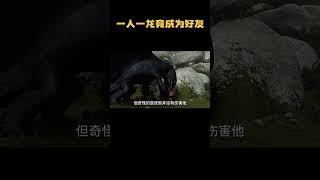 一人一龙竟成为好友！ #电影解说 #动画