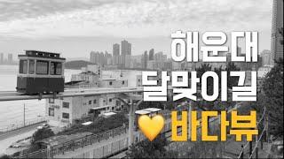 [부산기행 Ep.5] 4K 부산 해운대 달맞이길 문탠로드를 거닐며 멋진 바다 풍경을 감상 Walking over the gorgeous Haeundae Beach hill area