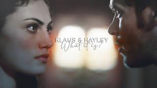 Klaus and Hayley|| ● What it is?●