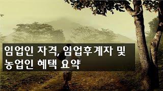 임업인 자격기준, 임업후계자 및 농업인 혜택 요약