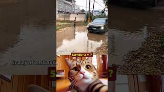 Car Driver Aura...️ #cat #meme #funny #trending