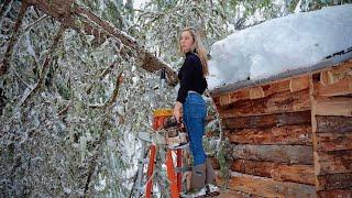 SNOWSTORM (and tree) hits my fort!!!