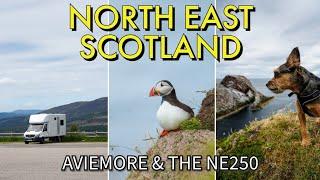 CAIRNGORMS & THE NE250: SCOTLAND BY CAMPERVAN