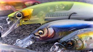 Jerkbait Tricks For Early Fall Bass Fishing! (Beginner To Advanced)