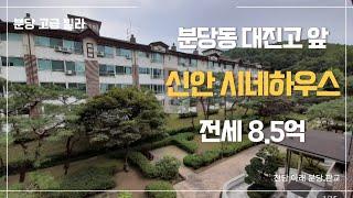 [분당고급빌라] 엘레베이터 있는 66PY 신안시네하우스 좋은 조건 전세!! #openhouse #villa