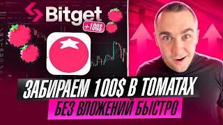 BITGET - ЗАБИРАЕМ ДО 100$ В ТОКЕНАХ ТОМАТО БЕЗ ВЛОЖЕНИЙ