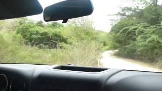 zen learning to drive a jeep in viques