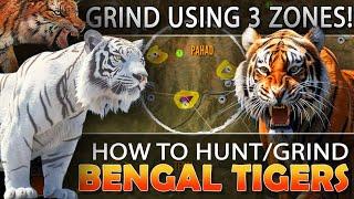 TIGER GUIDE:  HOW to GRIND TIGERS Using ONLY 3 DRINK ZONES!!! - Call of the Wild
